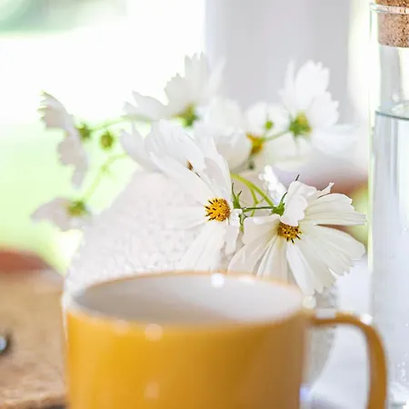 Gazde/Camere de închiriat Cozy Airport *