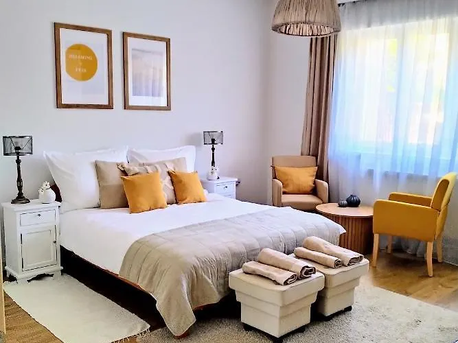 Gazde/Camere de închiriat Cozy Airport