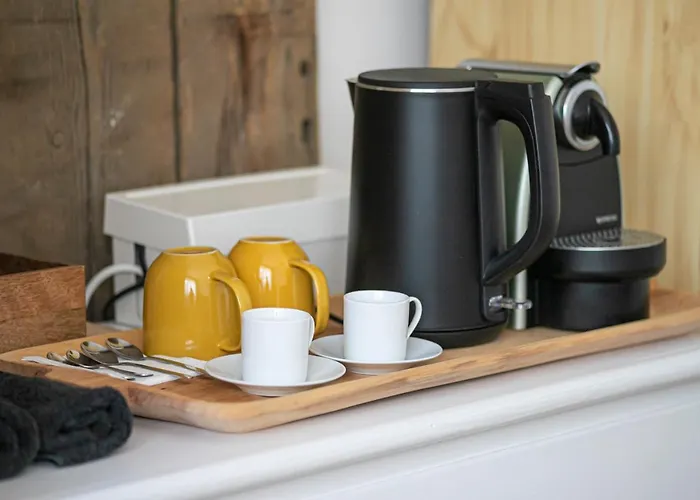 Gazde/Camere de închiriat Cozy Airport *