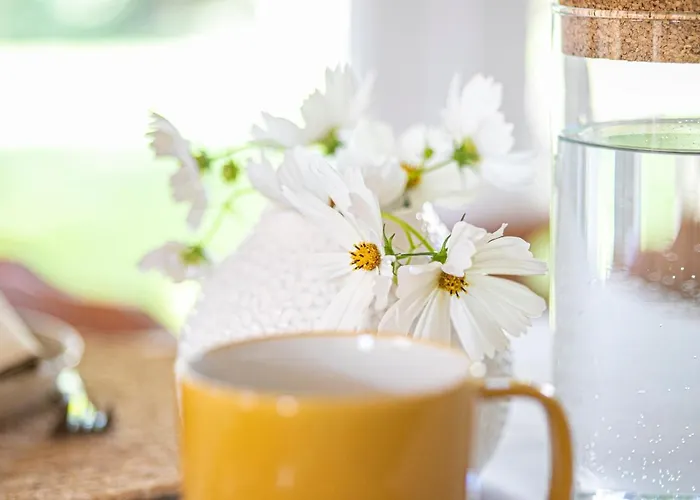 Gazde/Camere de închiriat Cozy Airport *